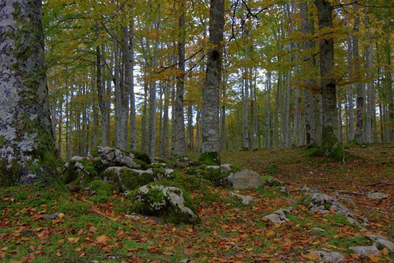 Hostal Rural Elosta Lekunberri Exteriör bild